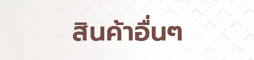 สินค้าอื่นๆ
